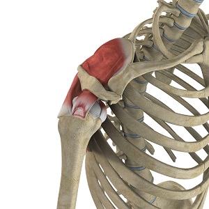 Partial Rotator Cuff Tear Milwaukee, Madison, WI | Shoulder Pain Brookfield