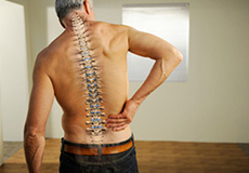 Back & Spine